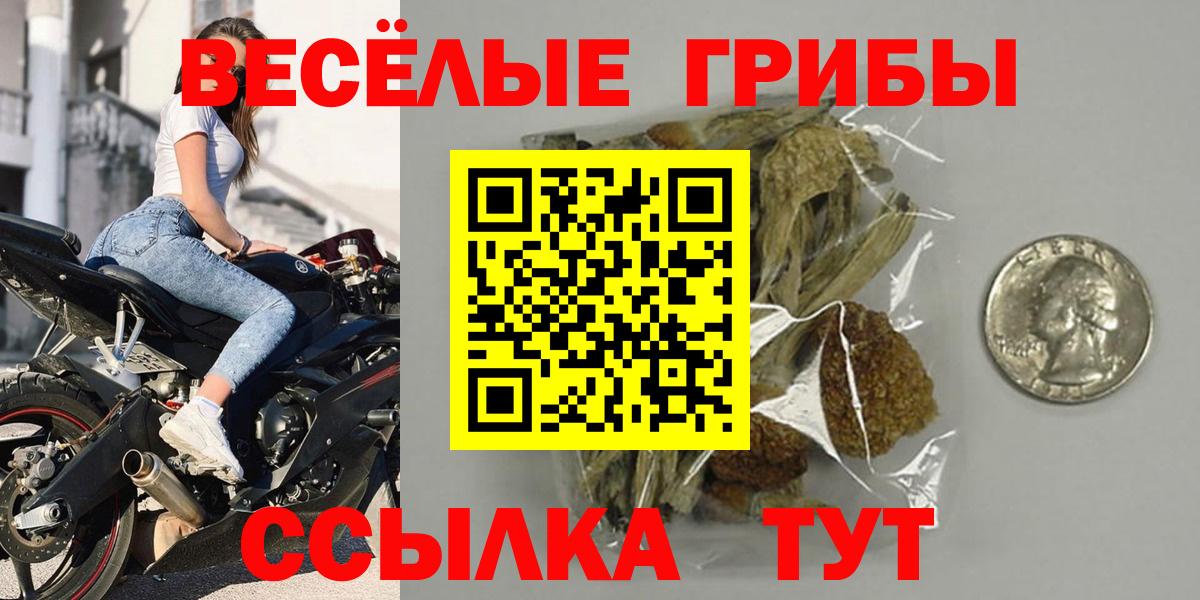 Галлюциногенные грибы GOLDEN TEACHER  Галлюциногенные грибы мицелий  Вход с VPN  Орехово-Зуево 